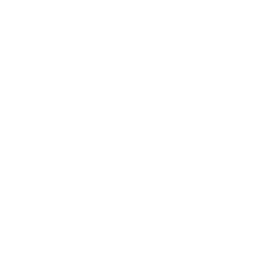 ce logo Seattle